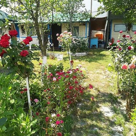 Camping Casuta Mihaela Crisan (Tulcea) Exterior foto