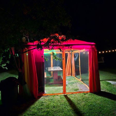 Camping Casuta Mihaela Crisan (Tulcea) Exterior foto