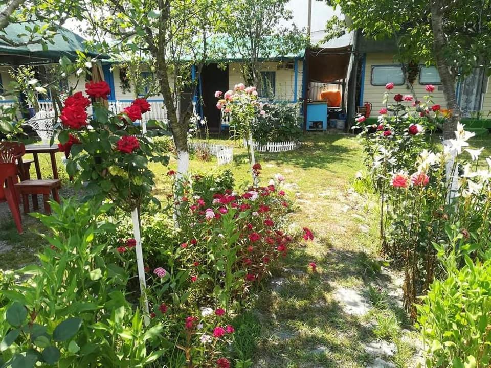 Camping Casuta Mihaela Crisan (Tulcea) Exterior foto
