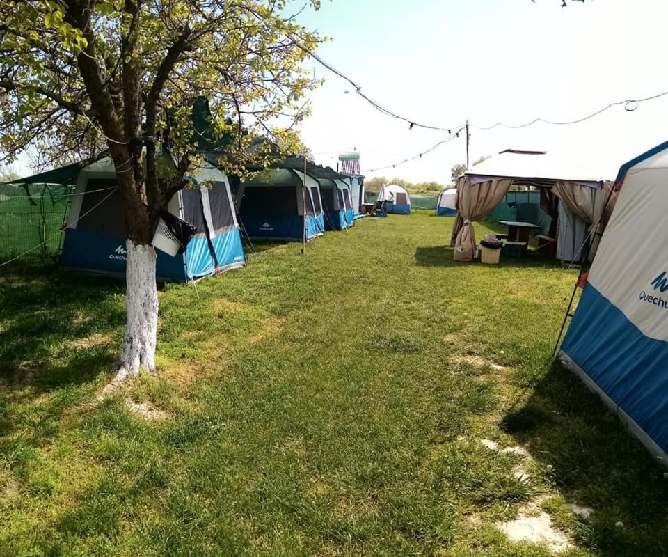 Camping Casuta Mihaela Crisan (Tulcea) Exterior foto