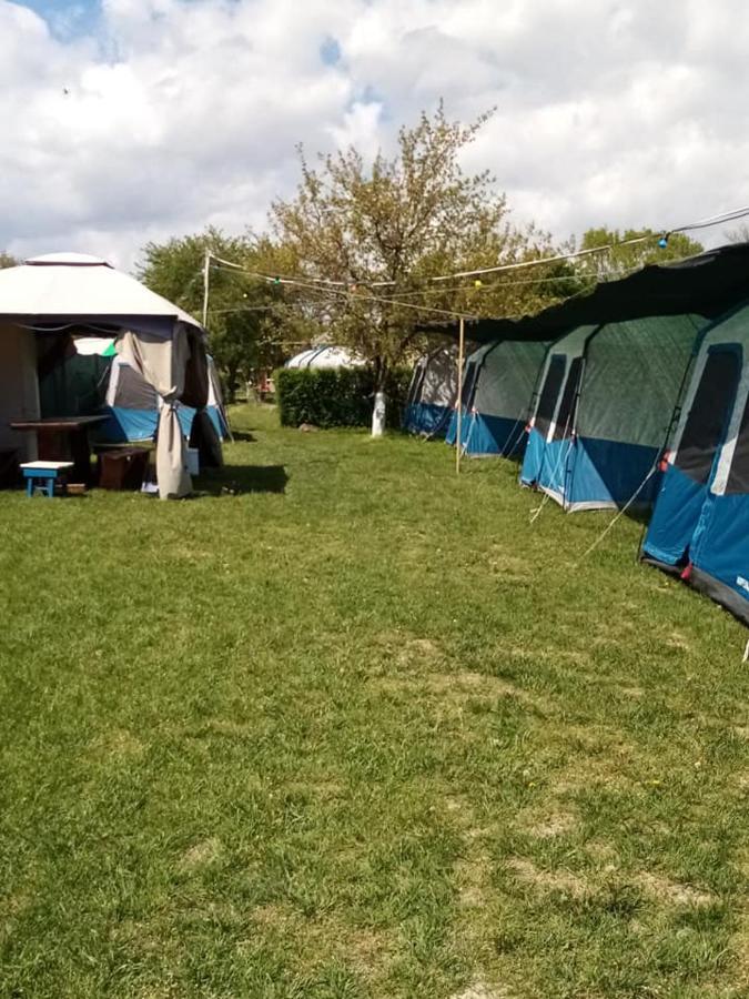 Camping Casuta Mihaela Crisan (Tulcea) Exterior foto