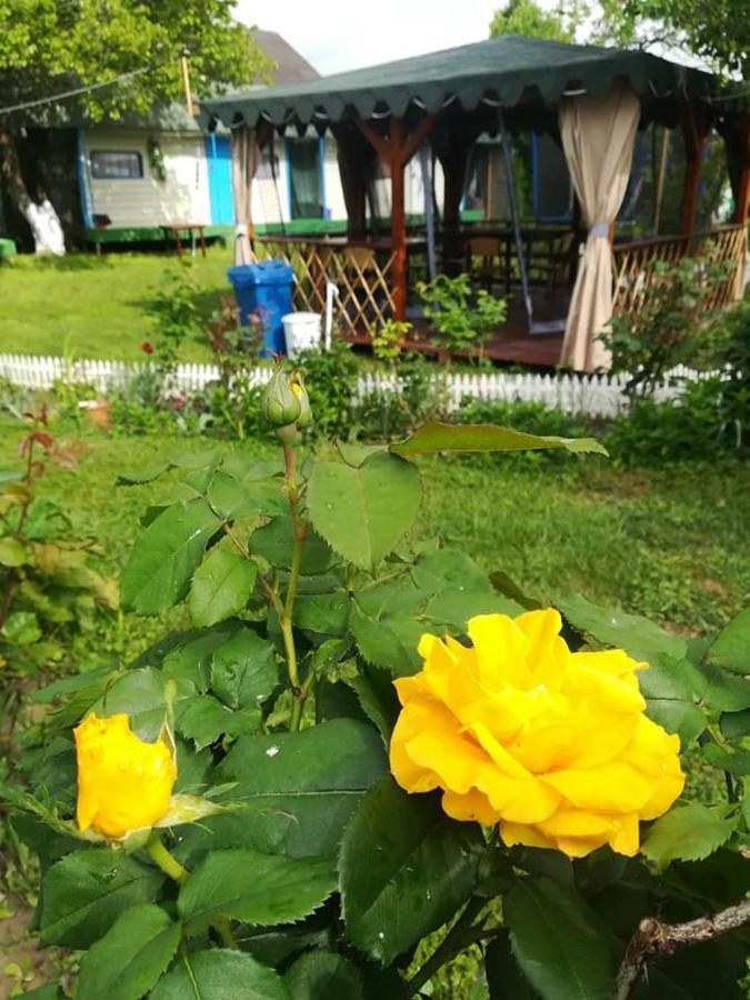 Camping Casuta Mihaela Crisan (Tulcea) Exterior foto