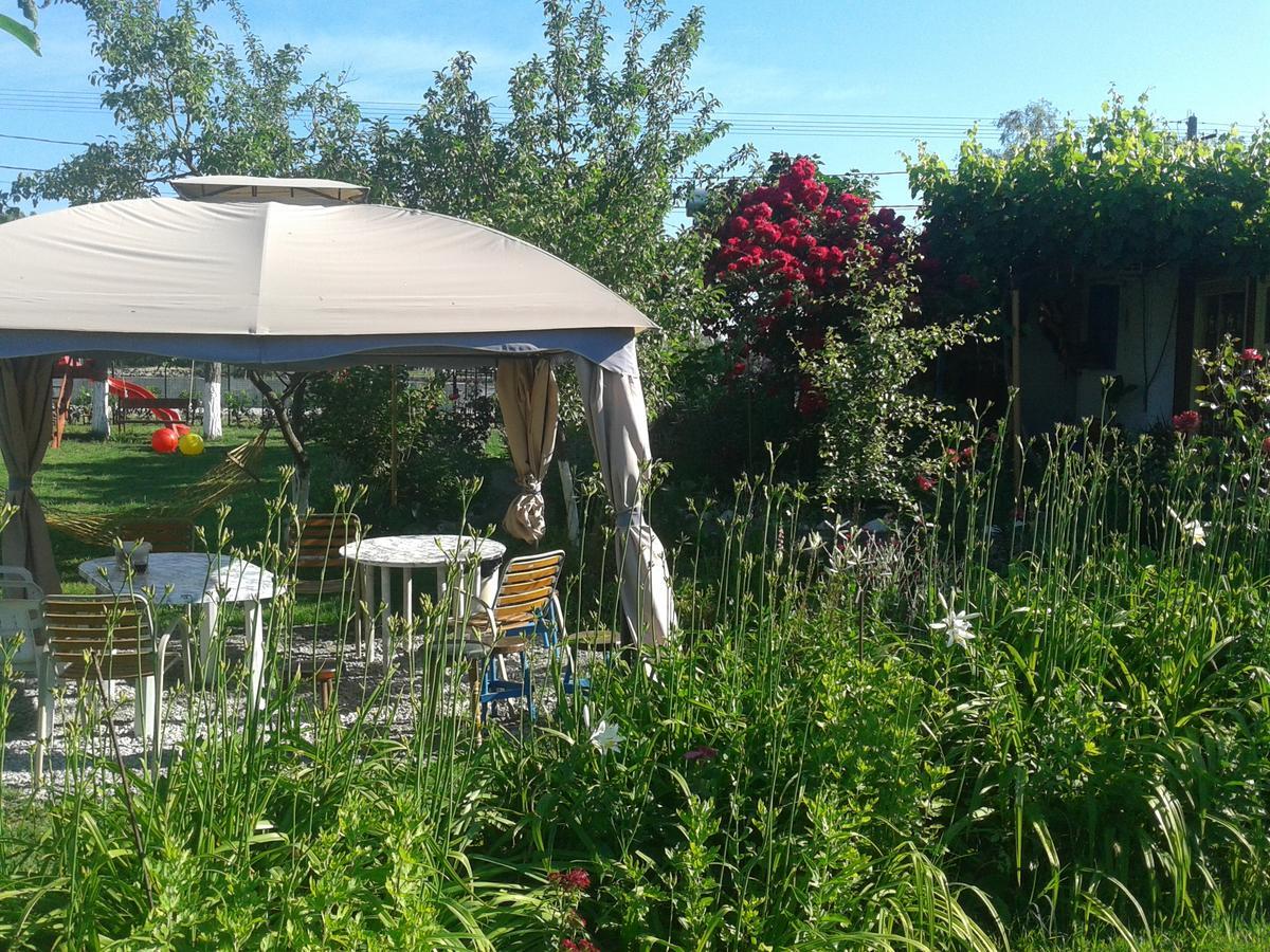 Camping Casuta Mihaela Crisan (Tulcea) Exterior foto