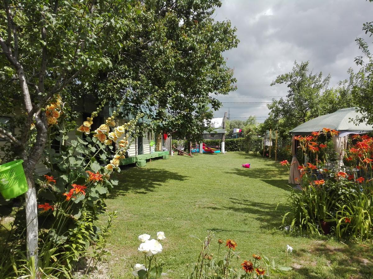 Camping Casuta Mihaela Crisan (Tulcea) Exterior foto