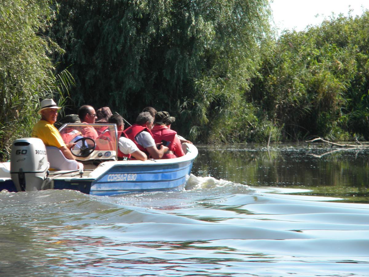 Camping Casuta Mihaela Crisan (Tulcea) Exterior foto