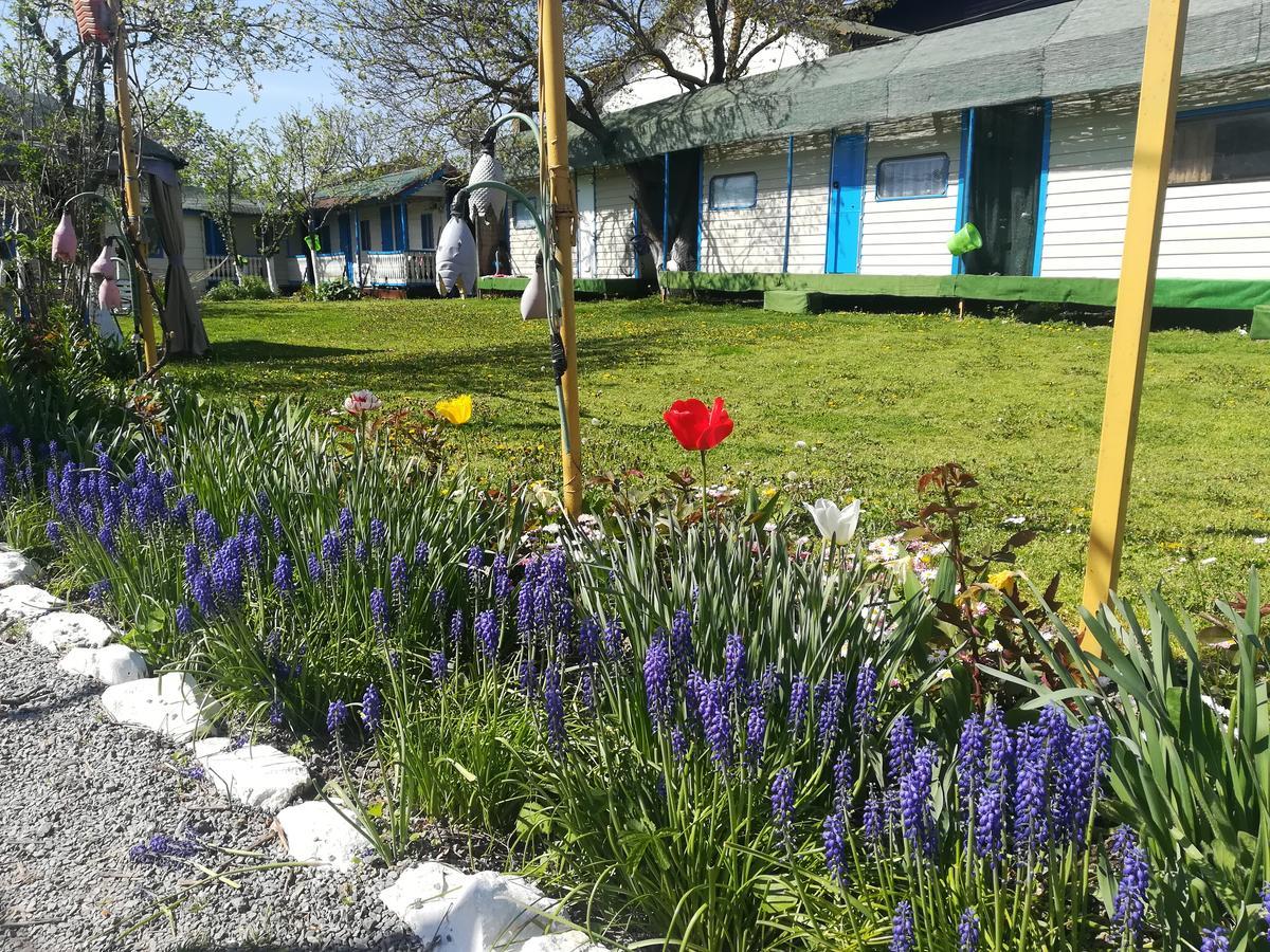 Camping Casuta Mihaela Crisan (Tulcea) Exterior foto
