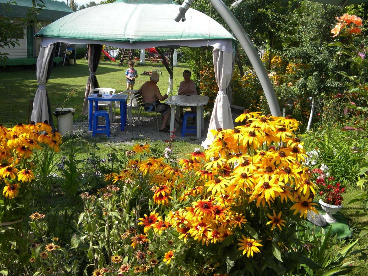 Camping Casuta Mihaela Crisan (Tulcea) Exterior foto